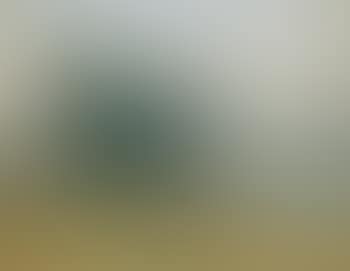 Paysage (preview)