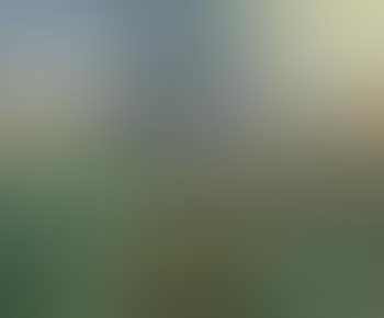 Paysage (preview)