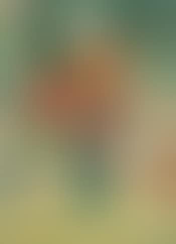 Bouquet de fleurs (preview)