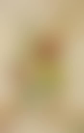Pivoines et pavots (preview)