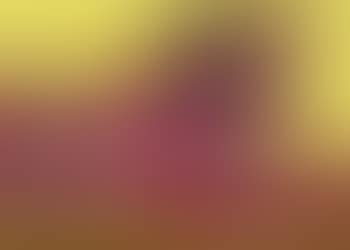 Le tigre (preview)