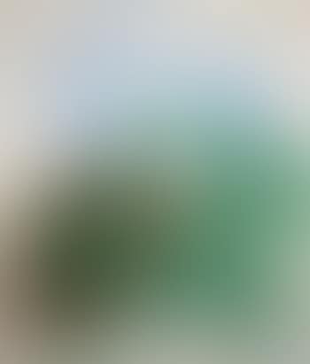 Works (preview)