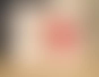 The bullfight (preview)