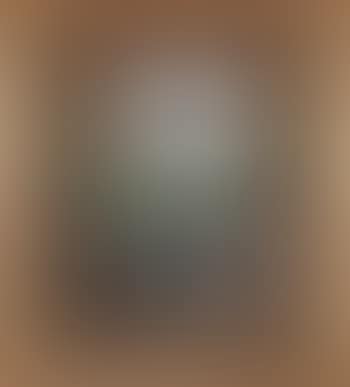 Untitled (preview)