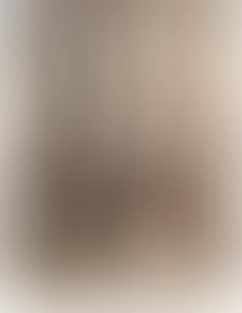 Chartres (preview)