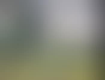 Paysage au clocher (preview)