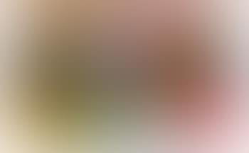 Landscape XX (preview)