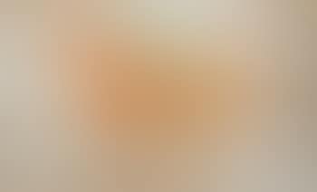 Frankel (preview)