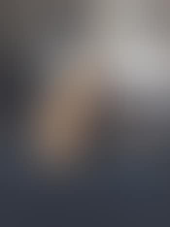 Due cani (preview)