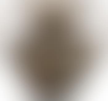 Vase de forme balustre (preview)