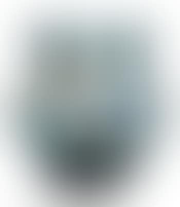 Hannetons et Nymphe?as vase (preview)