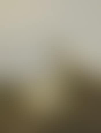 Sheep at Pasture (preview)
