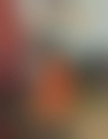 Les roses au vase orange (preview)