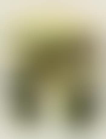 Composition (preview)