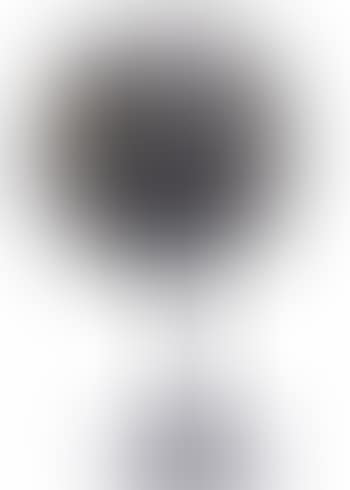 Autoportrait antique (preview)