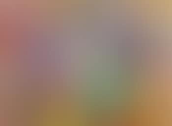Composition (preview)