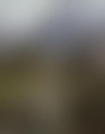 Mountain Scene with Mill (preview)