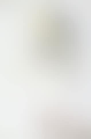 Portrait of Raquel Welch (preview)