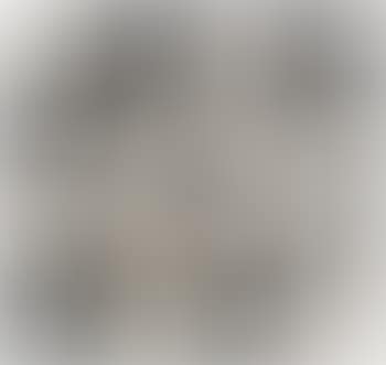 Segno e Disegno (preview)