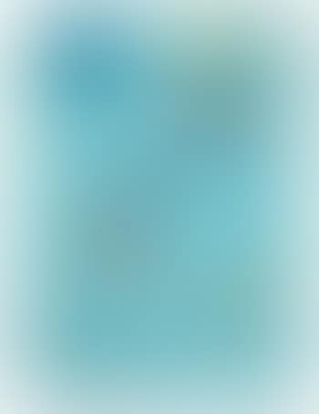 Cielo Newyorkese (preview)