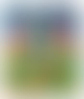 Faccine colorate (preview)