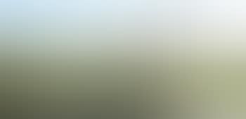 Untitled (Sonambient) (preview)