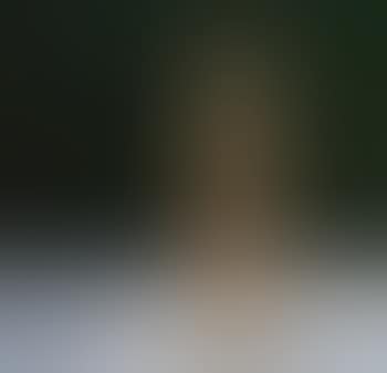 Untitled (Sonambient) (preview)