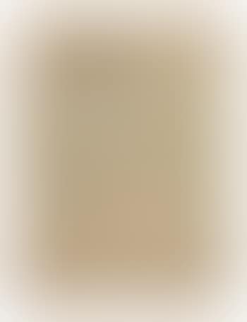 Femme assise se coiffant (preview)