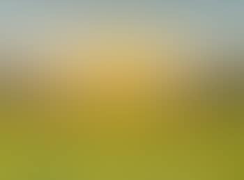 Large landscape on the Plain of Sils (in the spring) (preview)