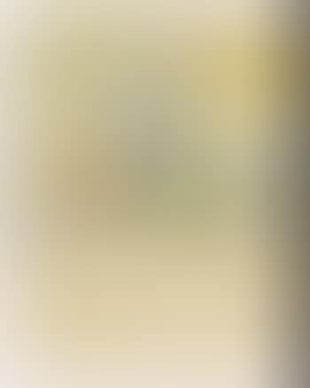 Wide landscape with trees (preview)