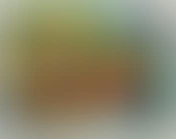Animaux (preview)