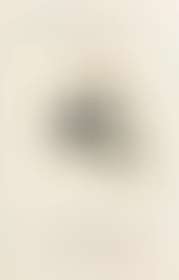 Galerie Claude Bernard (1); The Tate (2) (preview)