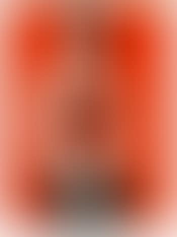 Jasper Johns Red (preview)