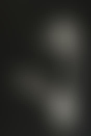 Untitled (Shark 7) (preview)