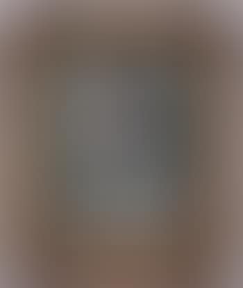 Portrait de Madame Georges Clos (preview)