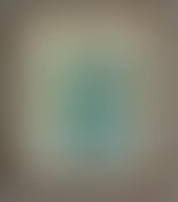 Volto (preview)