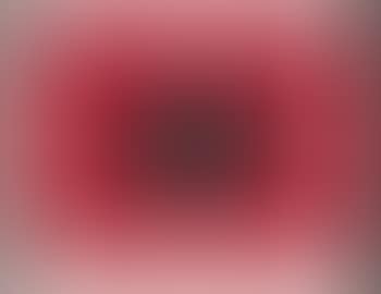 Oval (preview)