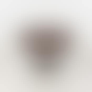 Ribbon chair F 582 (preview)