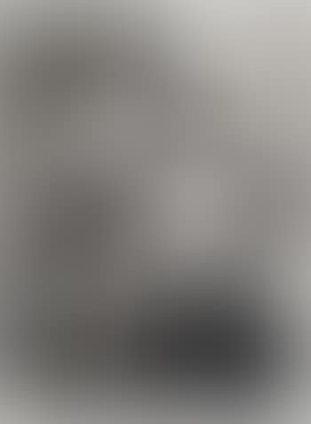 Erotique Voilee (preview)