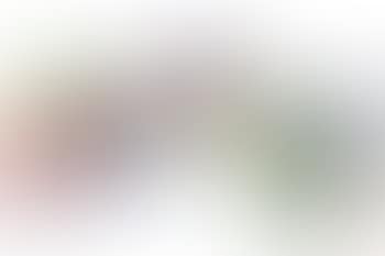 Serpent (preview)