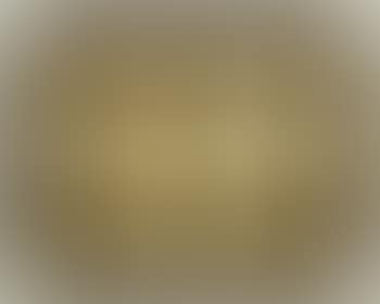 Abstract (preview)