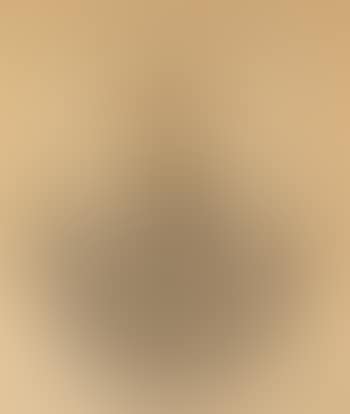 Persian Cat (preview)