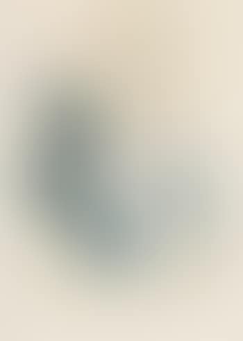Landschaft mit Bäumen (preview)