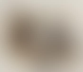 Zwei Eichhörnchen (preview)