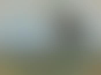Landschaft Mit Baumgruppe (preview)