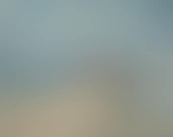 Strandlandschaft (preview)