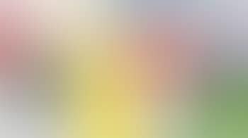 Untitled (preview)