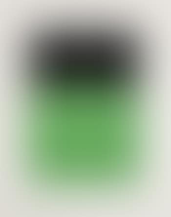 Black/Green (preview)