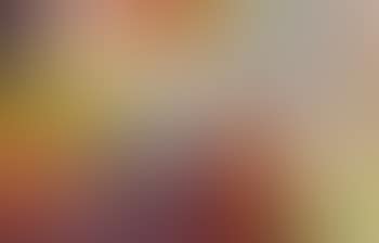 Paris Review Poster (C. 43) (preview)