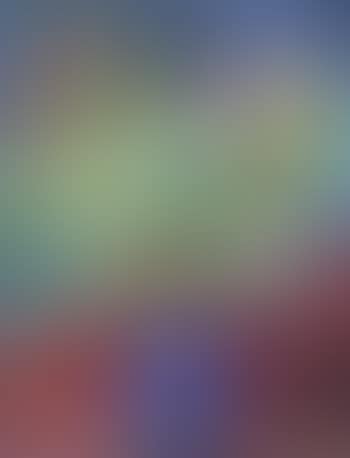 Bouquet de fleurs (preview)